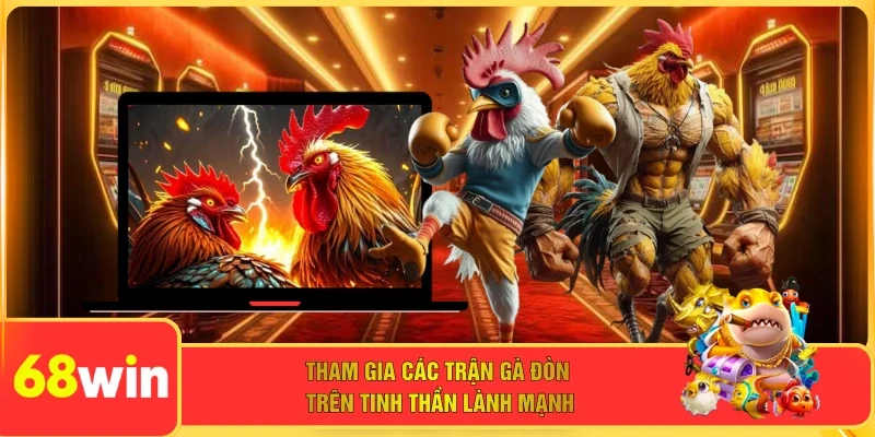 Tham gia các trận gà đòn trên tinh thần lành mạnh