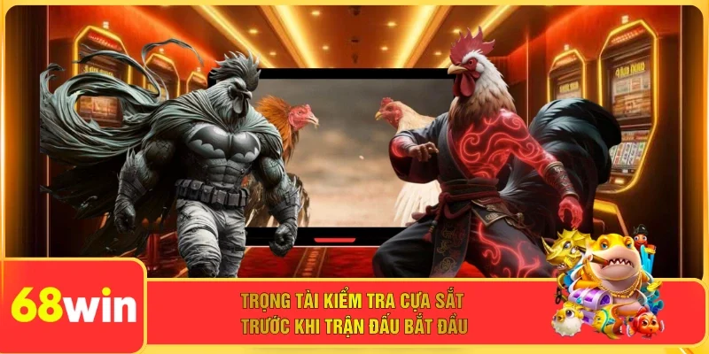 Trọng tài kiểm tra cựa sắt trước khi trận đấu bắt đầu